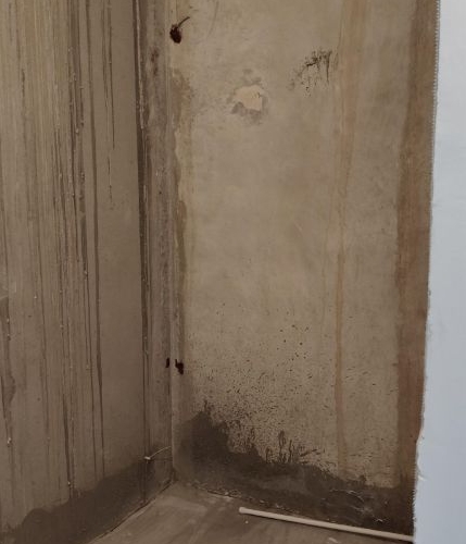 1-комн квартира Колтуши, улица Мира, 9