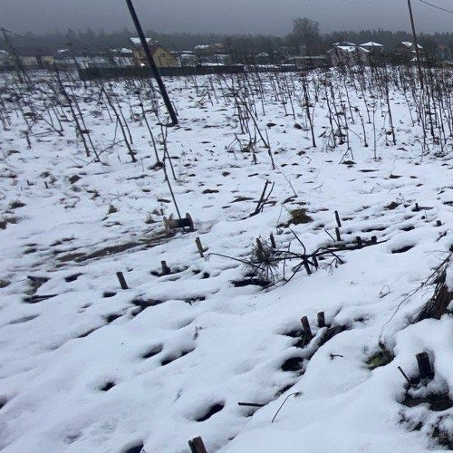 Земельный участок д. Новый Бор, 12