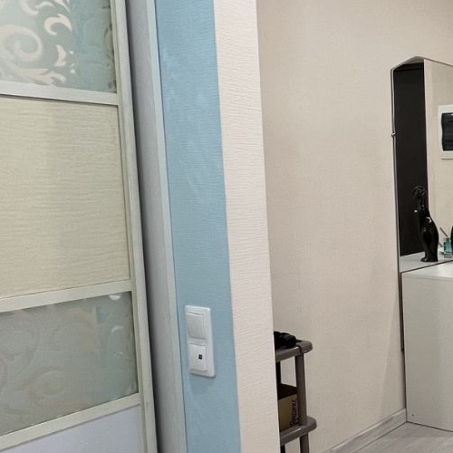 Студия пос. Янино-1, улица Кольцевая, 8к1