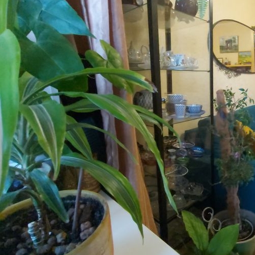 1-комн квартира пос. При железнодорожной станции Приветнинское, улица Военных Строителей, 7