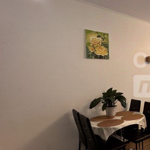 Студия Комендантский проспект, 66к1