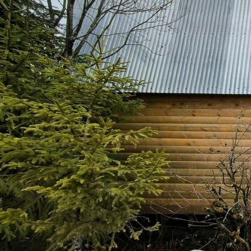 Коттедж/дом Назия садоводческий массив, Звезда СНТ,  д. 51