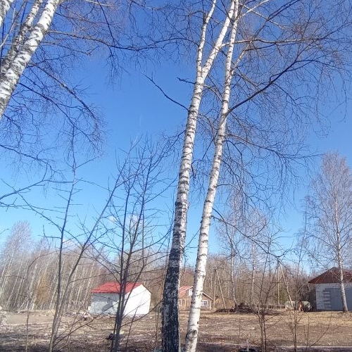 Коттедж/дом пос. Кротово, переулок Березовый