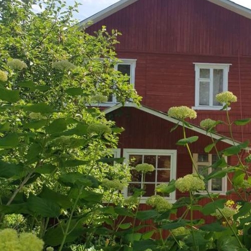 Коттедж/дом Родники СНТ