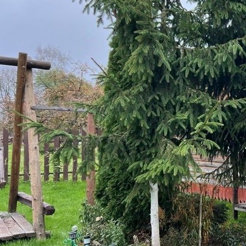 Коттедж/дом д. Каменка, 69