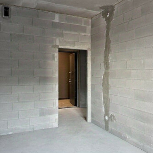 1-комн квартира Петровский пр-кт,  д. 24 к1