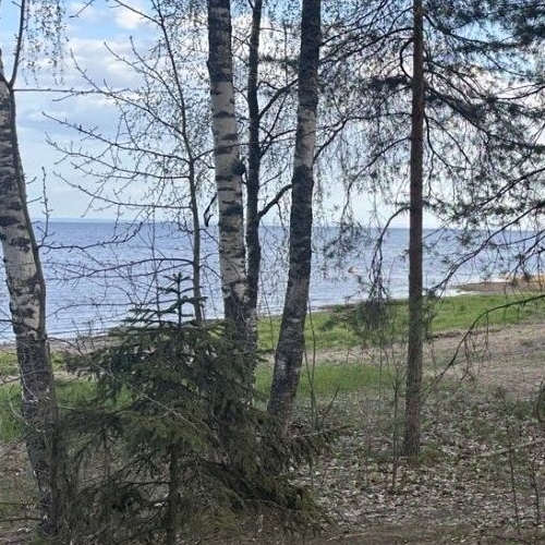 Земельный участок пос. Серово, Молодежное СНТ, улица Круговая