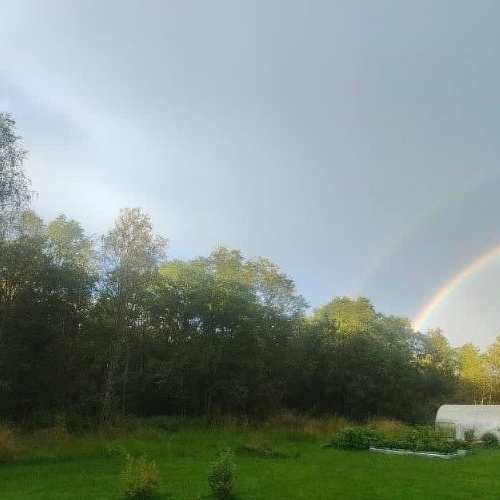 Земельный участок д. Лемовжа, улица Новодеревенская,  д. 25