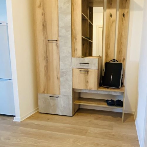 Студия д. Новое Девяткино, улица Главная, 10