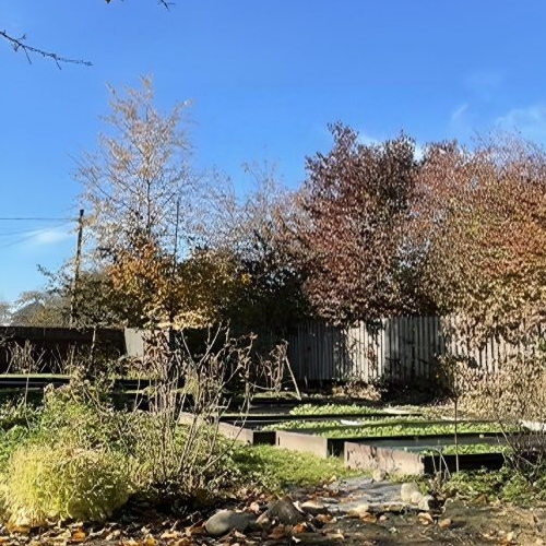 Коттедж/дом Михайловский садоводческий массив, Отрадненское СНТ, 14-я линия, 665