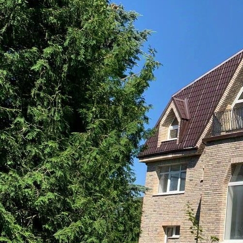 Коттедж/дом Петергоф, улица Средняя, 22