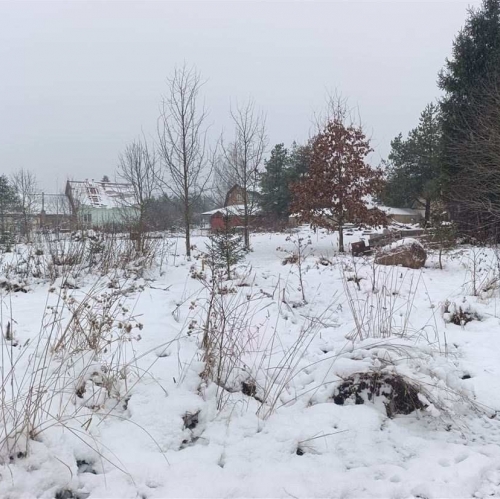 Земельный участок Луйсковицы