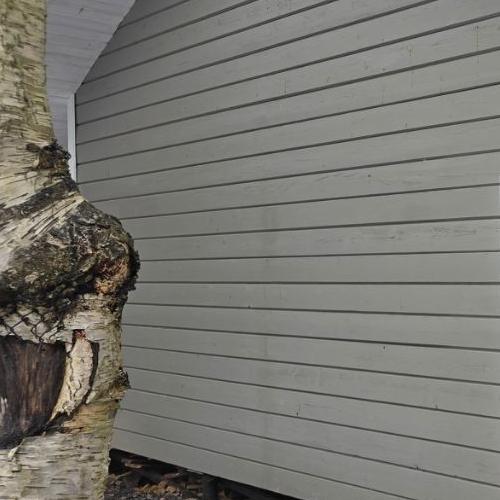 Коттедж/дом Ленинградского оптико-механического объединения-2 СНТ, улица Рихарда Зорге,  д. 273