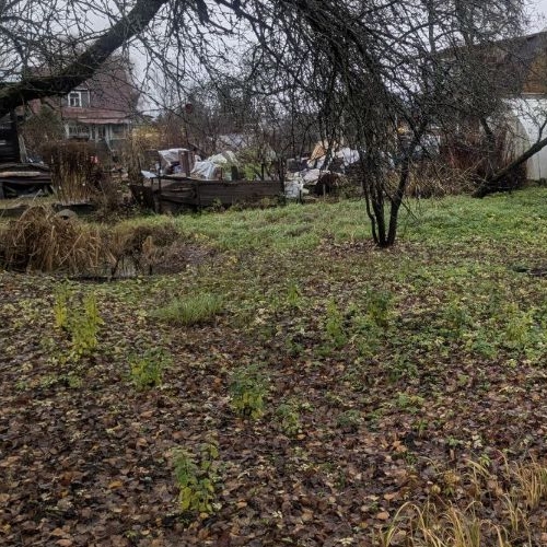 Земельный участок Новая Ропша садоводческий массив, улица 6-я Речная, 38