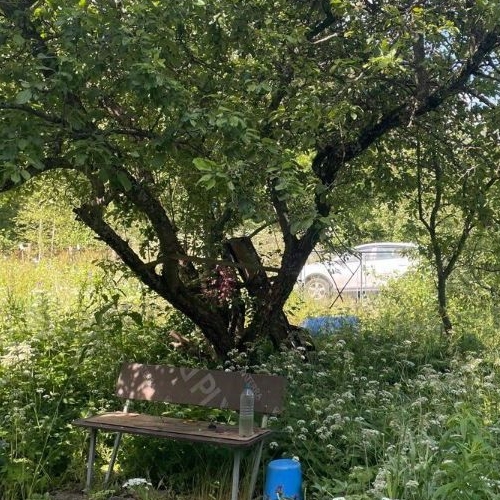 Коттедж/дом Рощино пгт, Лесное СНТ