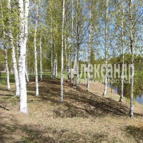 Коттедж/дом д. Отрада, улица Лесная