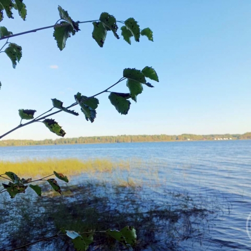 Земельный участок Правдино пос.