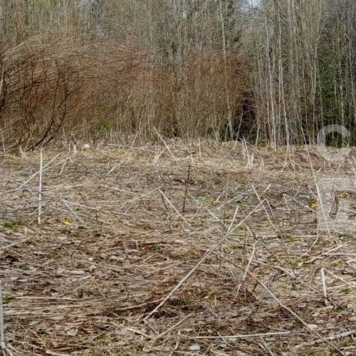 Земельный участок Новая Ропша садоводческий массив, Новоропшинское СНТ,  д. 6