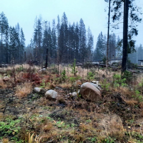 Земельный участок Сертолово г., Медное озеро 3 днп