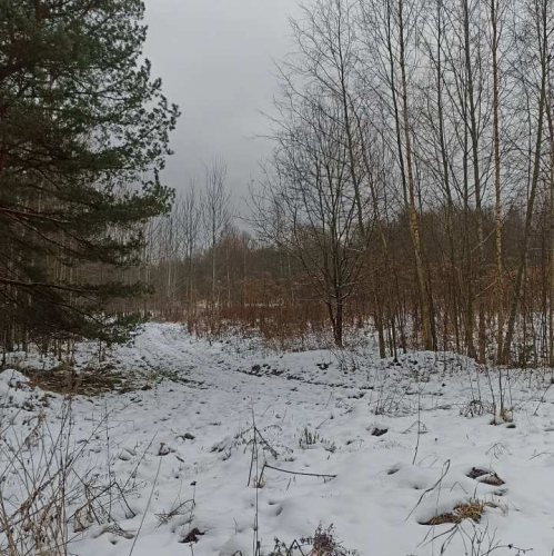 Земельный участок Старая Середка дер.