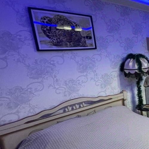 Студия Кудрово г., проспект Европейский, 13к1