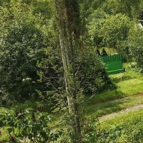 Коттедж/дом Посадников остров садоводческий массив, Ленгипротранс-Кириши СНТ, улица Строителей, 160