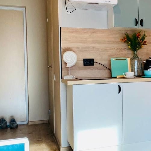 Студия пос. Парголово, проезд Толубеевский, 8к2