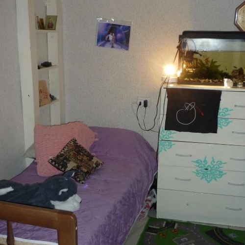 Студия Пушкин, улица Архитектора Данини, 5