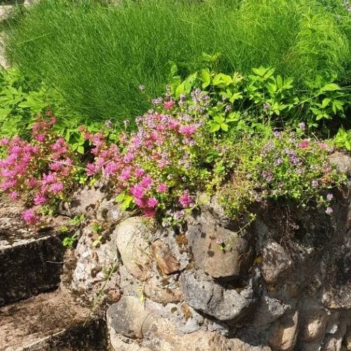 Коттедж/дом Родники СНТ