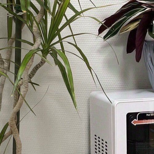 Студия Витебский проспект, 99к1