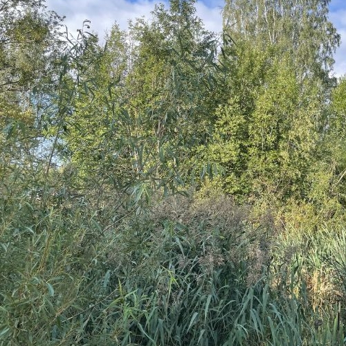 2-комн квартира Колпино, шоссе Вознесенское, 49к2