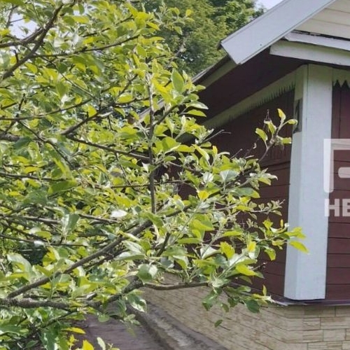 Коттедж/дом д. Ямки, 1