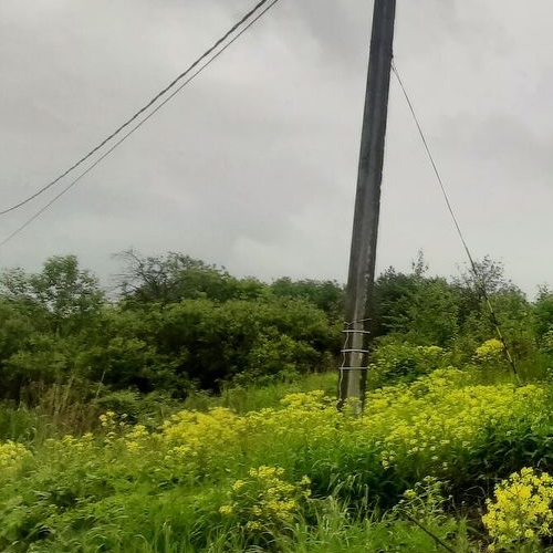 Земельный участок пос. Петро-Славянка, Красноармейское СНТ, 50