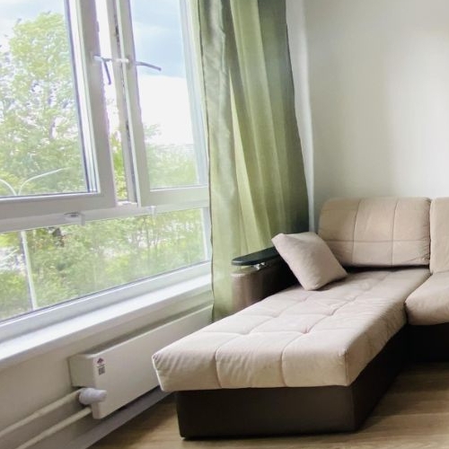 Студия д. Новое Девяткино, улица Главная, 10