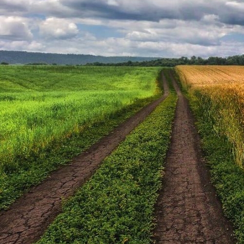 Земельный участок пос. Речников, улица Дачная