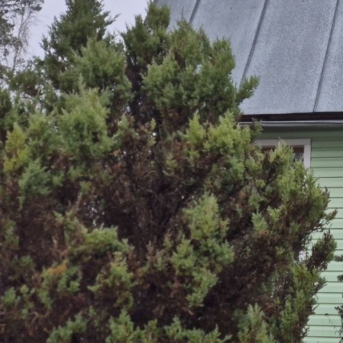 Коттедж/дом Павловск, Звездочка СНТ, 941