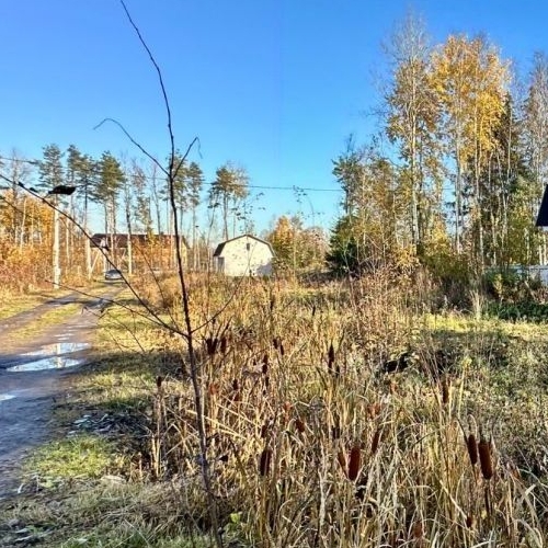 Земельный участок Пороги СНТ, улица 2-я Лесная