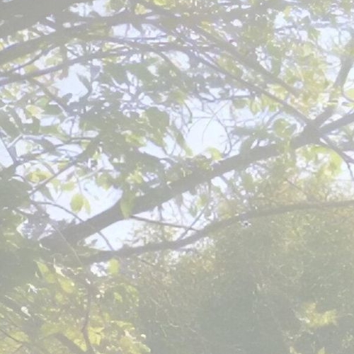 1-комн квартира пос. Перово, 15