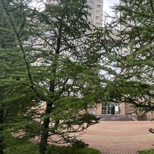 2-комн квартира Бухарестская улица, 110к1