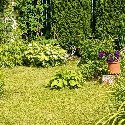 Коттедж/дом Восход садоводческий массив, Кировец-3/8 СНТ, аллея 8-я,  д. 8