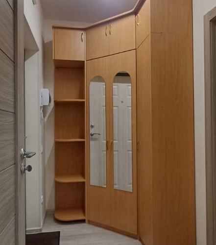 Студия пос. Шушары, проспект Старорусский, 5к1