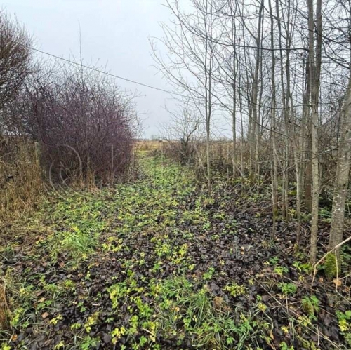 Земельный участок Озертицы, Озертицы д.