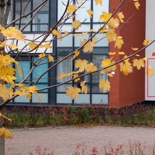 1-комн квартира проспект Буденного, 23к6