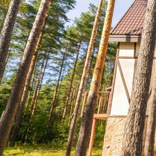 Коттедж/дом Защита СНТ