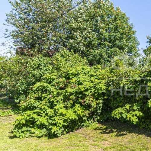 Коттедж/дом с. Паша, улица Заречная, 13