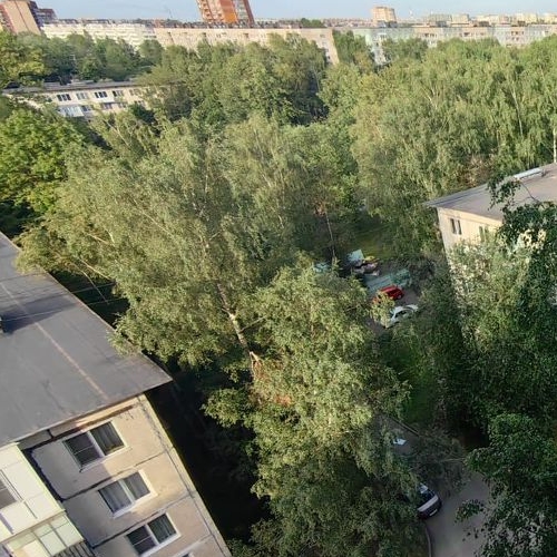 1-комн квартира проспект Просвещения, 68К1