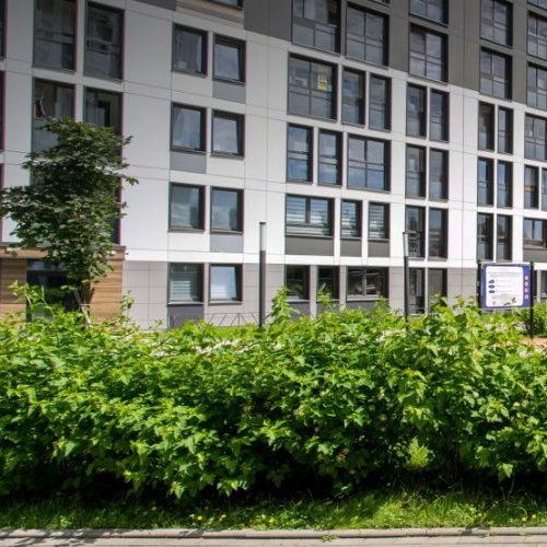 Студия Планерная улица, 93