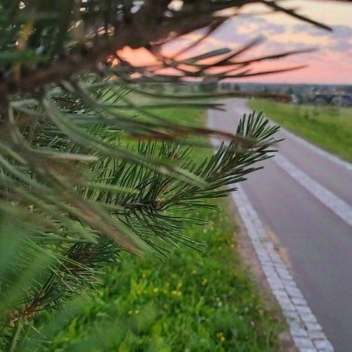 Земельный участок Гатчина Гарденс ЖК, д. Красницы