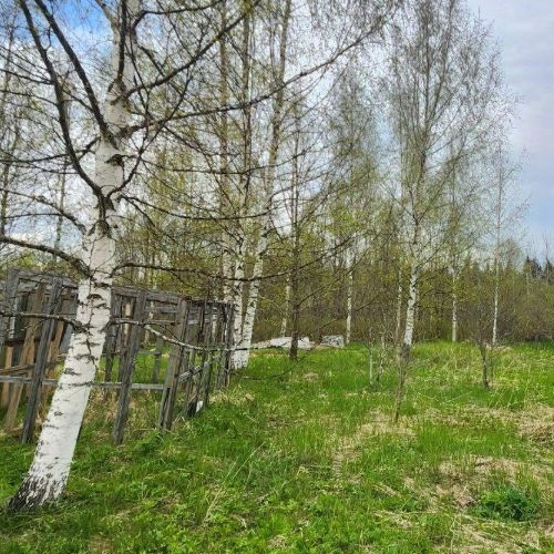 Земельный участок Сиверский городской поселок