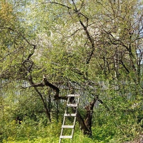 Земельный участок Горелово тер., улица Парковая, 91